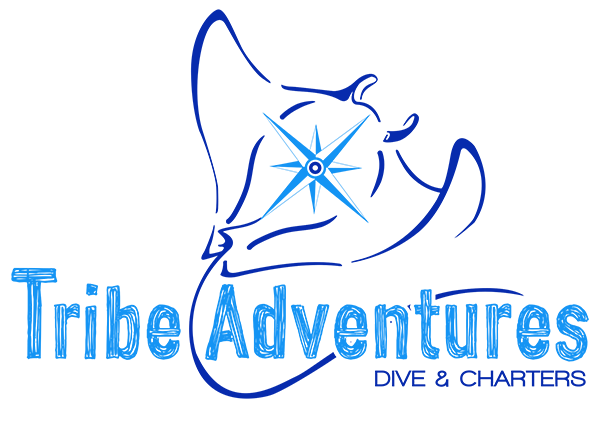 Tribe Adventures - logo